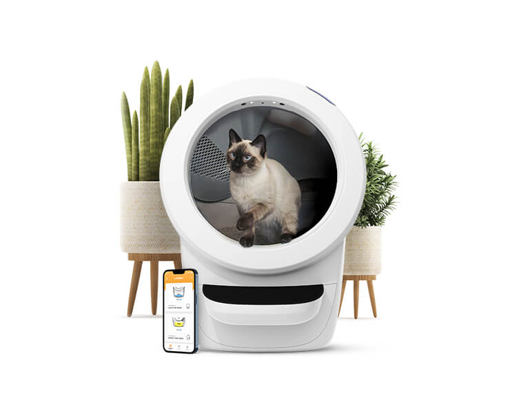 רובוט 4 ליטר לחתולים Litter Robot