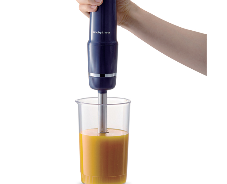 מוט בלנדר נטען+אביזרים Morphy Richards 48528