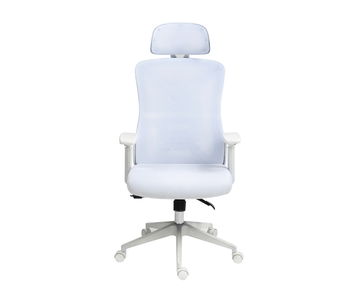כיסא משרדי ארגונומי Dragon Smart Tech GPDRC-R70